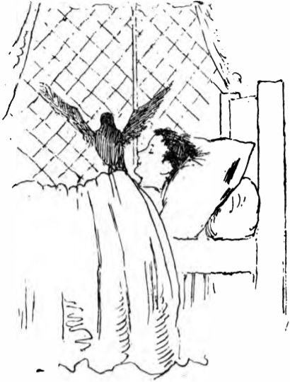 How 7 Went Mad - hop on the bed and try and wake his master