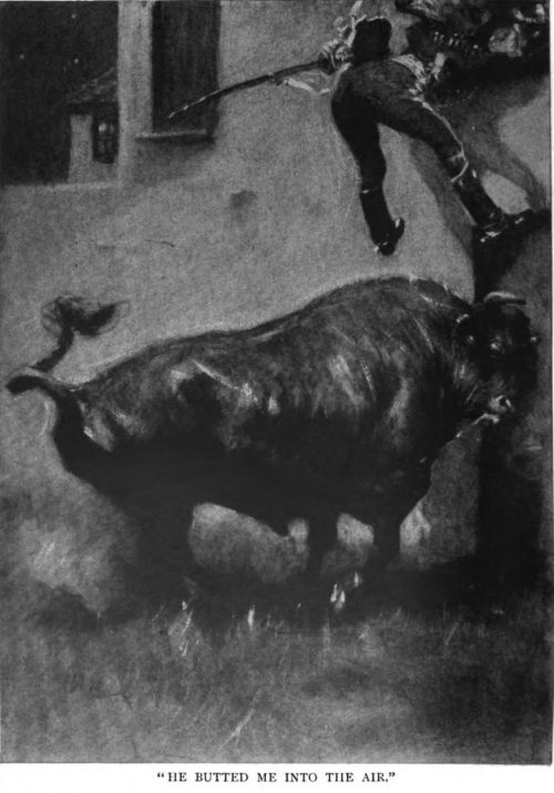 The Marriage Of The Brigadier he butted me into the air