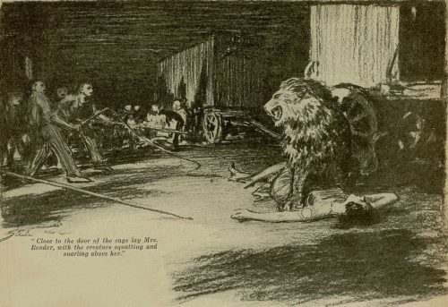 Sherlock Holmes The Veiled Lodger Close to the door of the cage lay Mrs. Ronder, upon her back, with the creature squatting and snarling above her