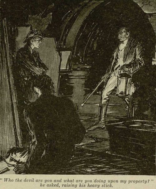 Sherlock Holmes The Adventure of Shoscombe Old Place Who the devil are you? he thundered